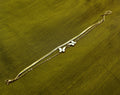 Gold-Plated Double-Layer Snake Chain Butterfly Charm Bracelet for Women - Glossy Finish